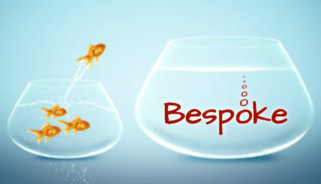 bespoke business coaching, fish jumping from a small bowl to a big one
